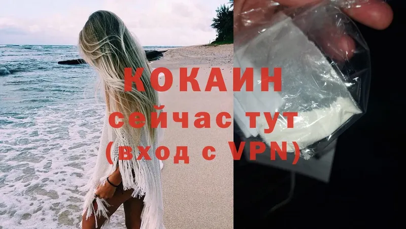 Cocaine 99%  Тайга 